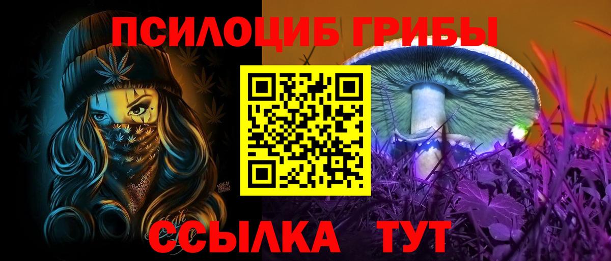 Галлюциногенные грибы Psilocybine cubensis  Вход с VPN  Донецк 