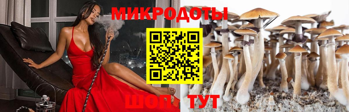 Галлюциногенные грибы прущие грибы Донецк